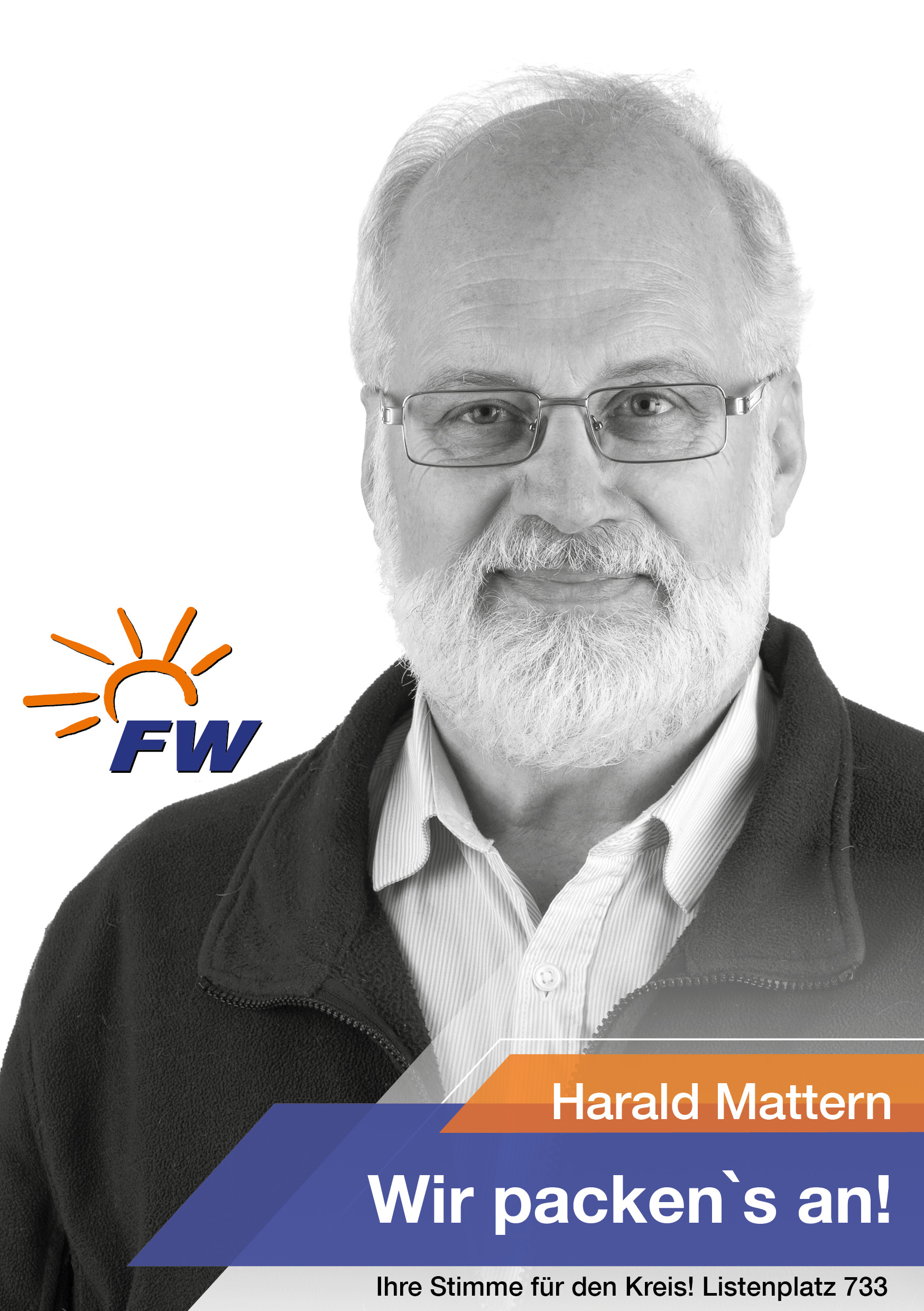 733 Harald Mattern